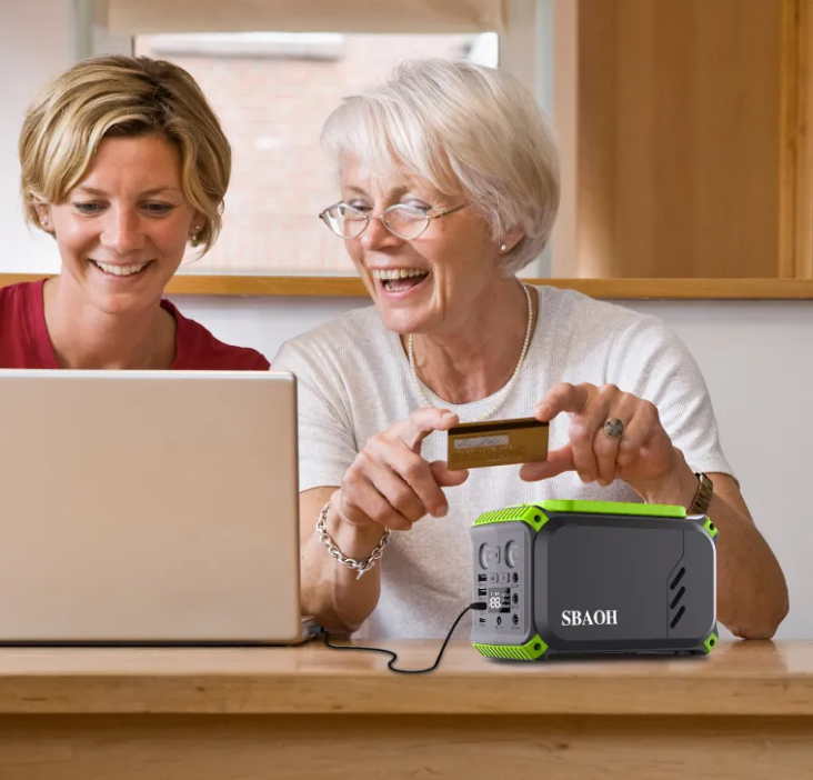 110V Camping Power Station